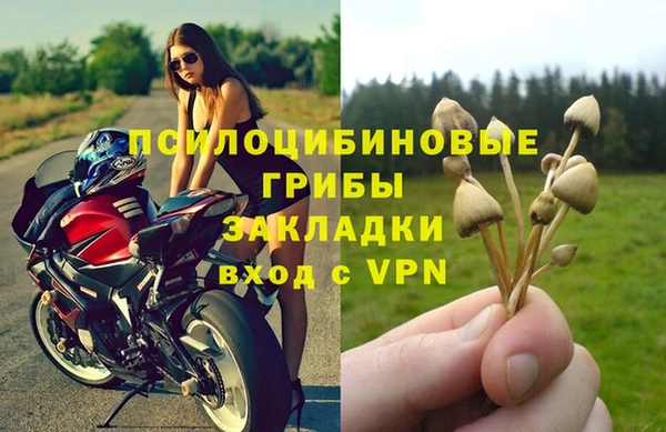 марки nbome Козельск