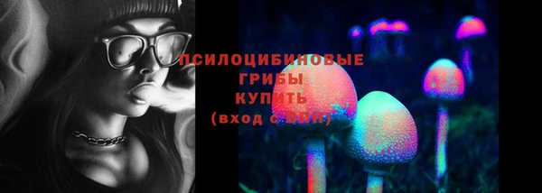 гидропоника Кодинск