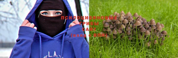 марки nbome Козельск