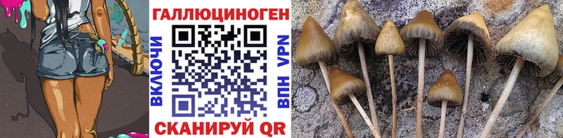 Псилоцибиновые грибы мицелий Купить Кохма