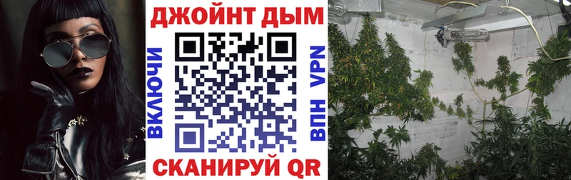 Купить закладки  Кохма  Канабис Ganja 